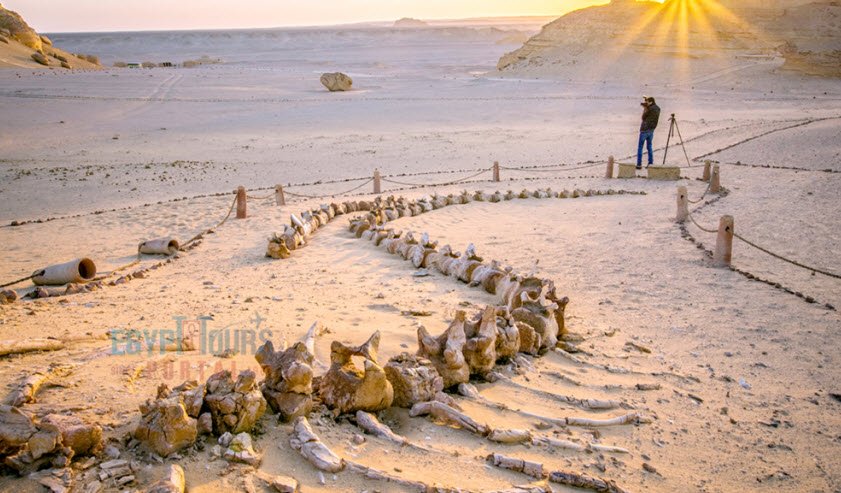 Wadi el-Hitan (Whale Valley - nearby in Egypt), Egypt border vicinity, Libya